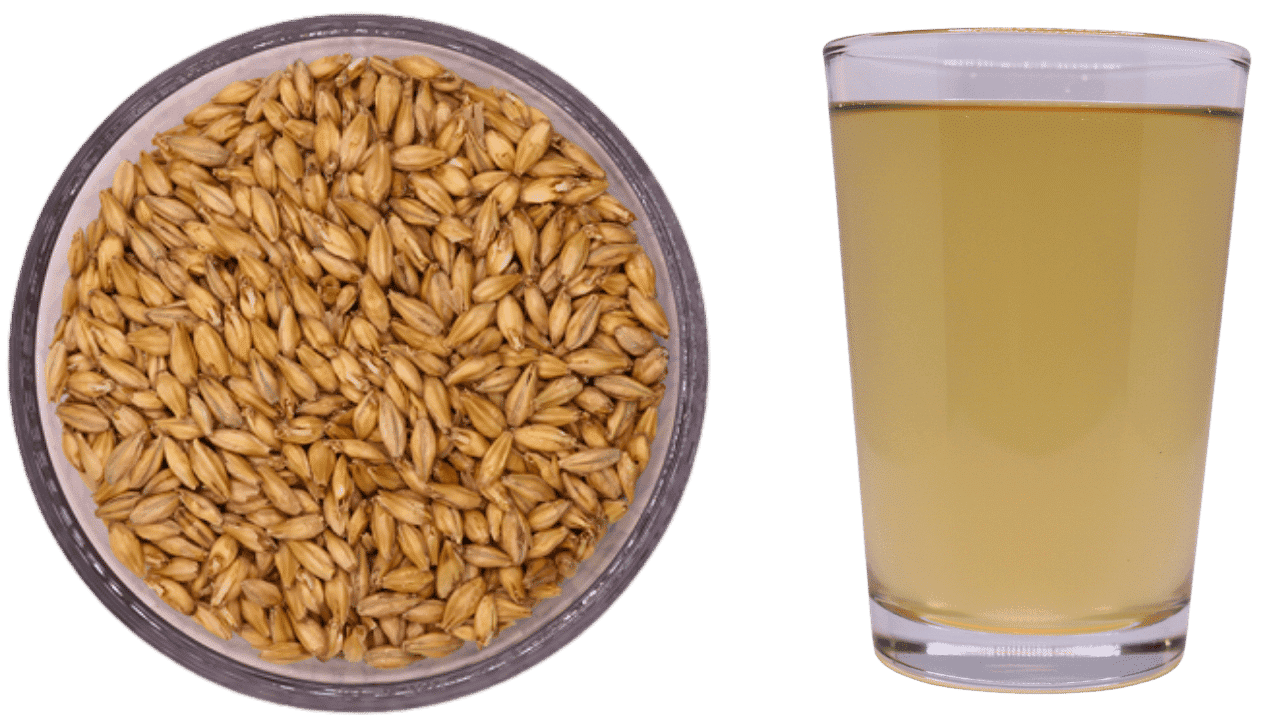 Badlands Pilsner Web