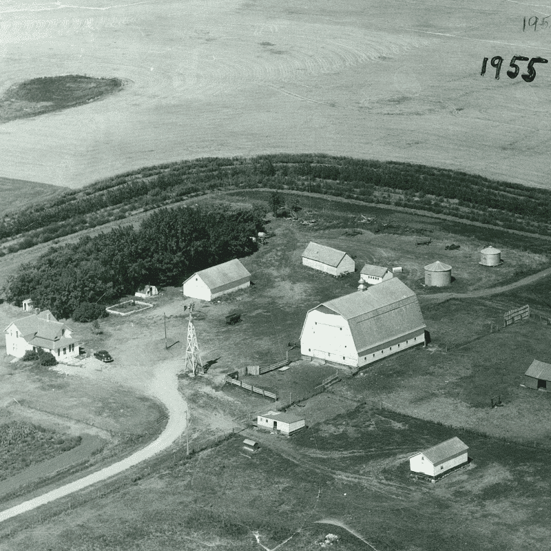 Stober Farm 1955