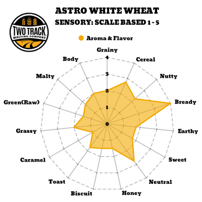 Sensory Map Astro White Wheat Malt