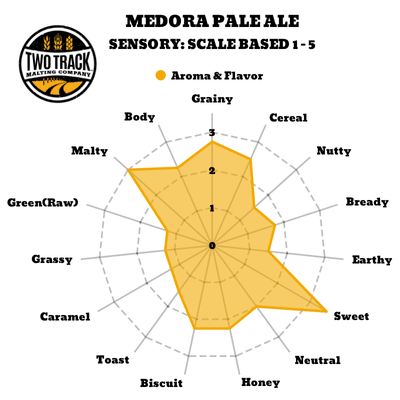 Sensory Map Medora Pale Ale Malt