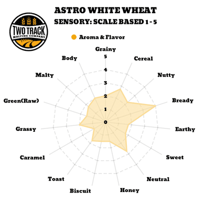 Astro White Wheat Sensory