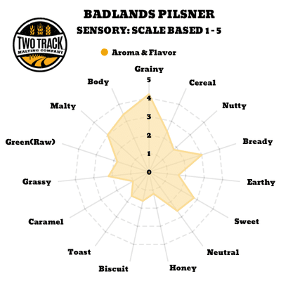 Badlands Pilsner Sensory