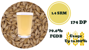 Field to Spirit Image