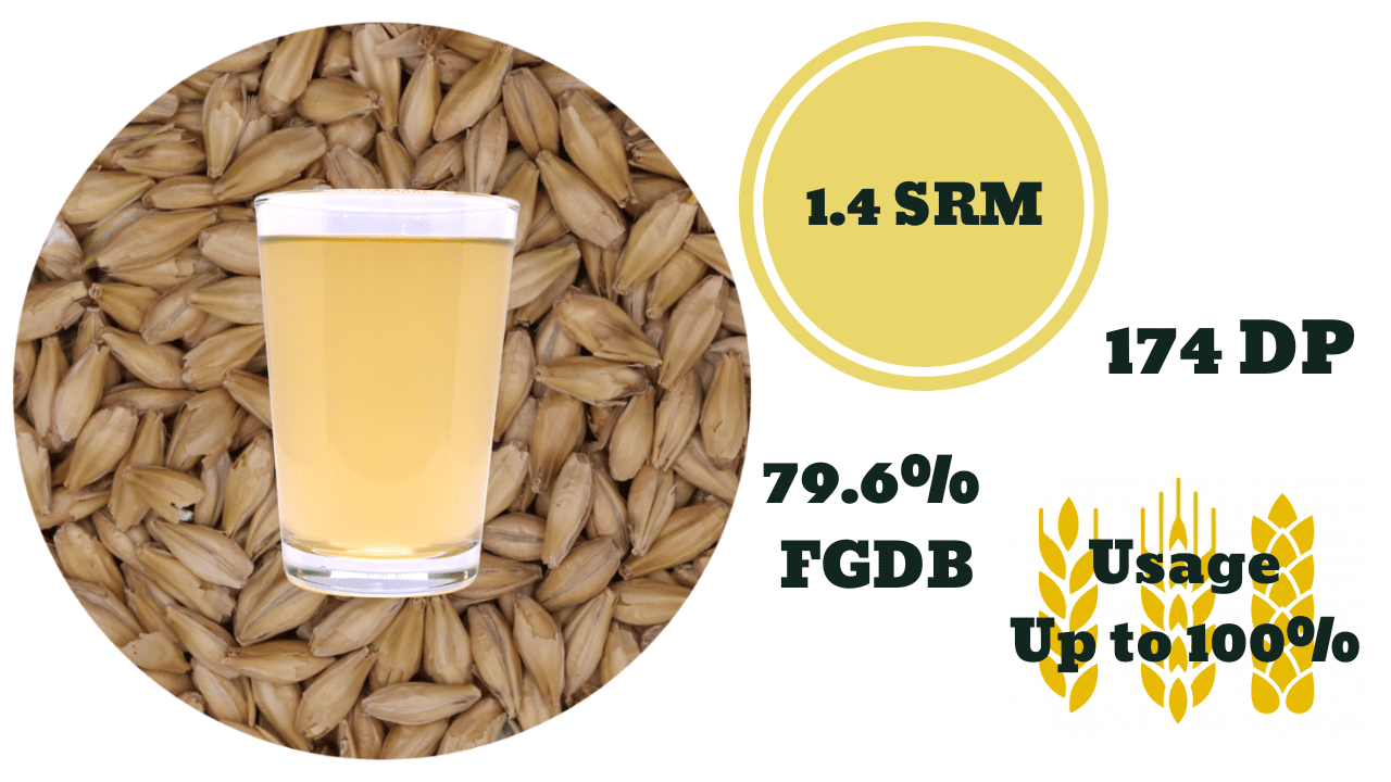 Field to Spirit Image