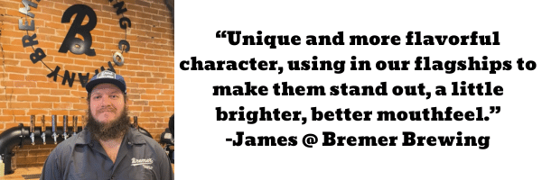 Bremer Brewing Testimonial